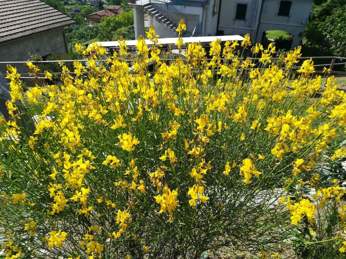 Un Soffio Dal Cielo Lejlighed Beverino Eksteriør billede